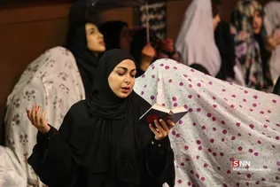 دبب