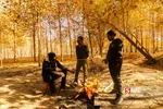 پاییز
