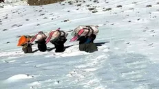 احتمال زنده بودن کولبران سقزی گرفتار در کولاک
