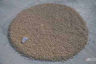 345345