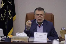 کرمی: رونق اقتصاد با حمایت از زیست‌بوم خلاق / دستاورد‌های فرهنگی فرصتی برای صادرات می‌شود
