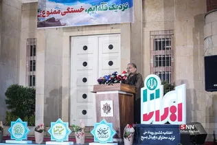 دبب