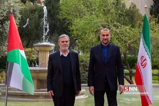 زیادنخاله