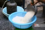 تربیت مدرس