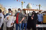 شثب