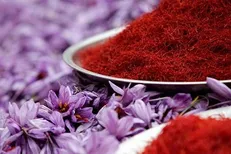 بخش خصوصی به تعهداتش در خرید تضمینی زعفران عمل نکرد