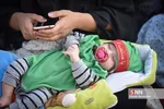 همایش شیرخوارگان حسینی در شیراز