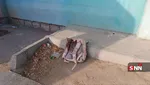 میناب