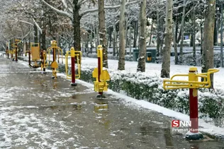 برف شهری