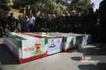 Nsj