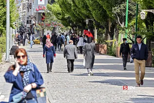 ناکام ماندن یک طرح...