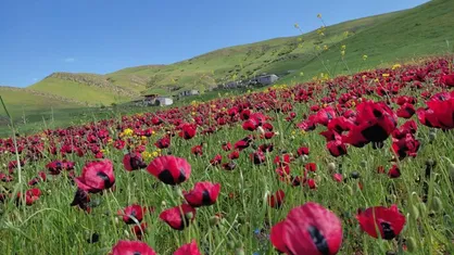 اختصاص ۶۰ میلیارد به تقویت زیرساخت&zwnj;های گردشگری اردبیل