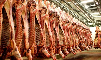 سود دلالان از گرانی ۱۲ هزار تومانی گوشت / زیان خانواده&zwnj;ها از ضعف مدیریت امور دام