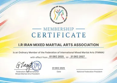 MMA ایران رسماً جهانی شد