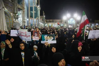 دبب