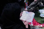 دبب