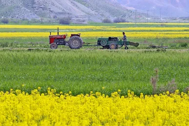 اجرای الگوی کشت نیازمند همکاری و عزم همگانی است