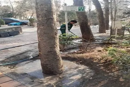 طبیعت&zwnj;درمانی زمستانی درختان در منطقه یک تهران انجام شد
