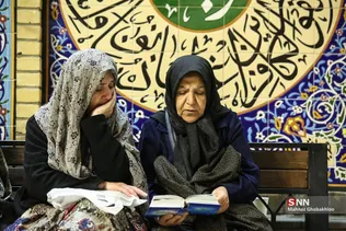 دبب