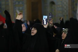 دبب