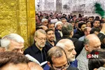 بیلب