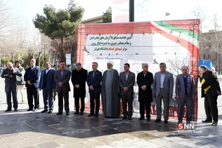 دانشگاه