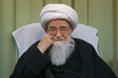 عصبانیت ارگان سیا از ثبات قدم آیت‌الله صافی (ره)