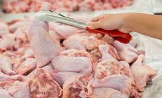 اگر قیمت مرغ در ۳ روز آینده ارزان نشود وارد می‌کنیم