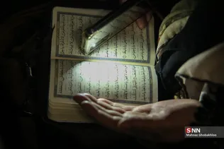دبب