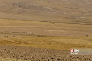 چناران شهر