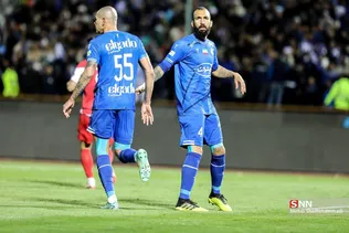 دبب