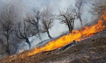 آتش&zwnj;سوزی در ارتفاعات کبیرکوه ۱۵ هکتار از جنگل&zwnj;های دره&zwnj;شهر را خاکستر کرد