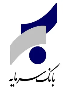 بنگاه داری ویژه بانک سرمایه؛ از شرکت توسعه ساختمان تا سرمایه گذاری