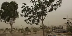 وزش باد قابل ملاحظه در اکثر مناطق/ کاهش دما در نقاط مختلف کشور