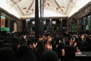 دبب