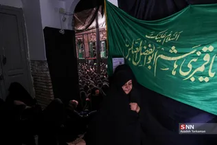 دبب