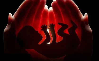 بررسی موضوع سقط جنین&zwnj;های غیرقانونی در کمیته فرهنگی کمیسیون اصل نود مجلس