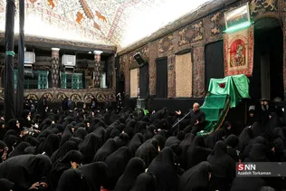 دبب