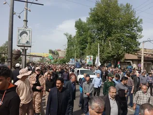 آلبوم عکس