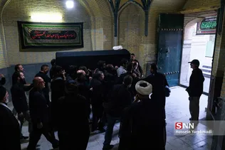 تشیع