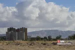 تخریب باغات