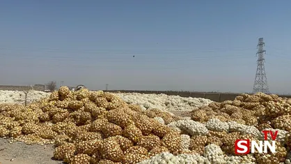 رئیس سازمان تعاون روستایی کشور در جیرفت: مطالبات کشاورزان به زودی پرداخت می&zwnj;شود