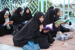 دبب
