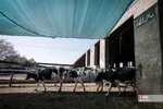 546456546