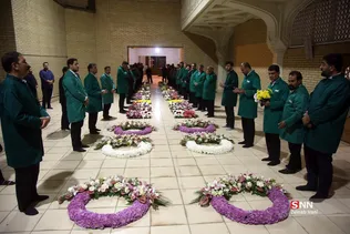 دبب