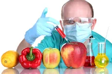 افشای پشت‌پرده فشار مافیای واردات محصولات تراریخته
