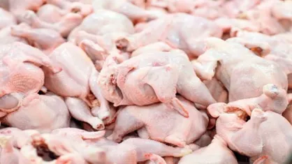 توضیح اسدالله&zwnj;نژاد درباره علت قیمت&zwnj;های سرسام&zwnj;آور گوشت مرغ