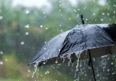جزئیات بارندگی‌ها در استان بوشهر / ۱۸۱ میلیمتر بارش در جم ثبت شد