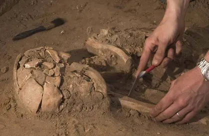 رشته &laquo;باستان&zwnj;سنجی&raquo; در دانشکده ادبیات و علوم&zwnj;انسانی دانشگاه تهران راه&zwnj;اندازی می&zwnj;شود