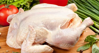 سرمایه&zwnj;گذاری ۳۳ میلیارد تومانی برای احداث مزرعه تولید مرغ مادر شهرستان چگنی